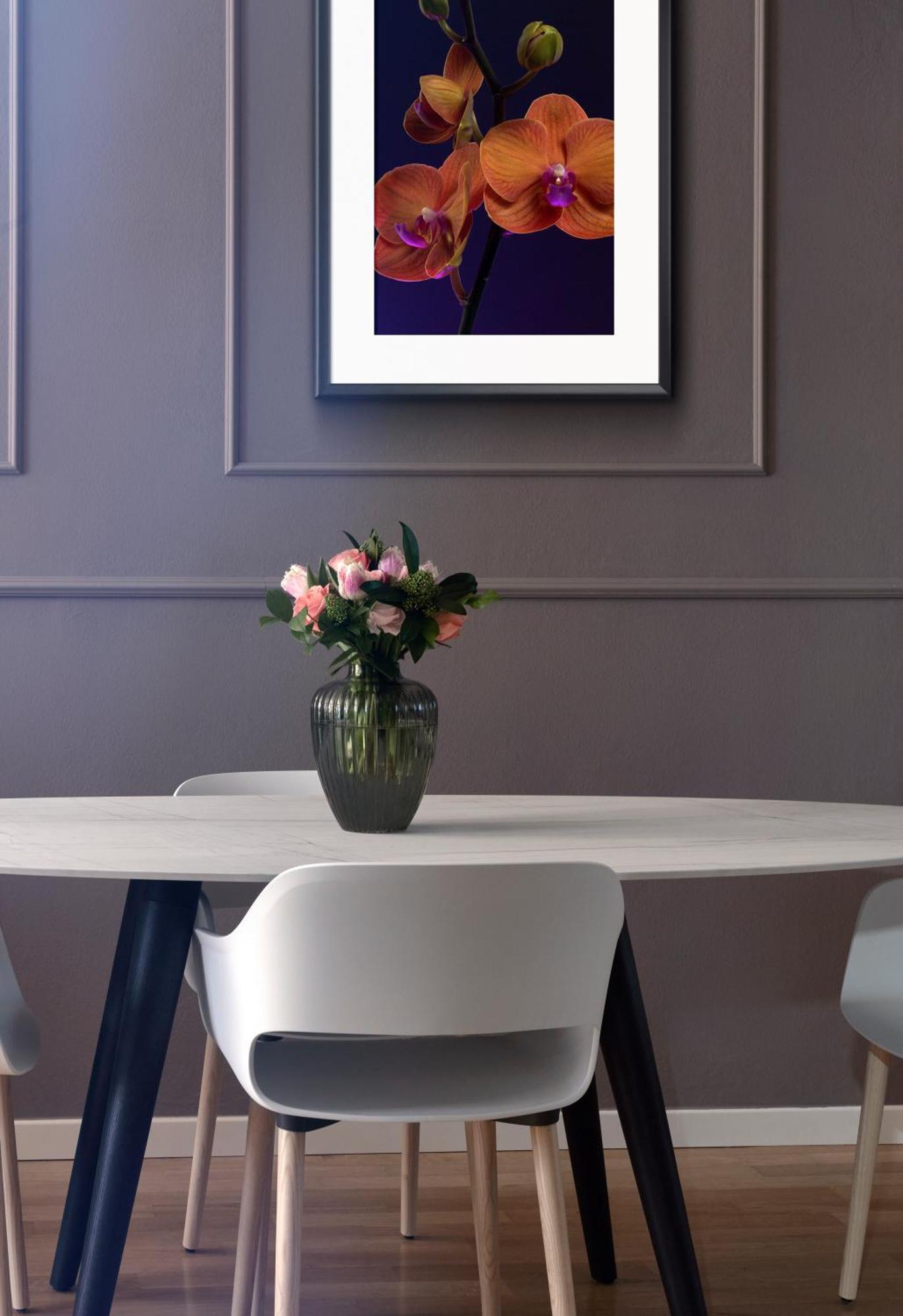 Leilighet Rego - Boutique & Serenity With Some Off-site In The Heart Of Center *